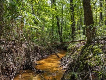 Undeveloped Land for sale in Hancock County, Georgia