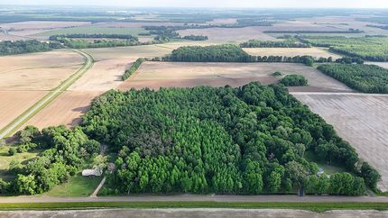 Land for sale in Quitman County, Mississippi