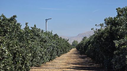 Land for sale in Fresno County, California