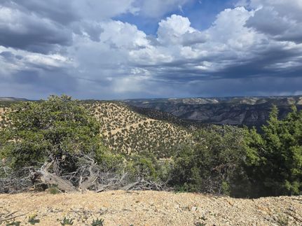 Farm and Ranch for sale in Duchesne County, Utah