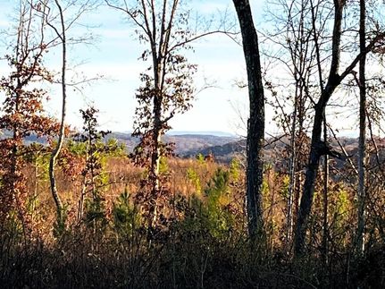 Lakefront Property for sale in Meigs County, Tennessee