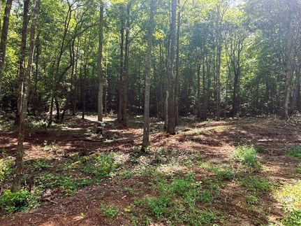 Land for sale in Meigs County, Tennessee