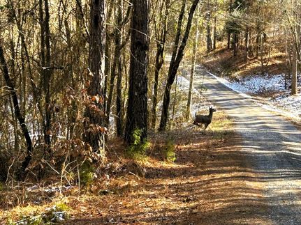 Land for sale in Meigs County, Tennessee