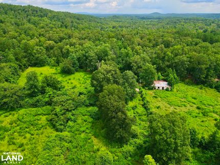 Timberland Property in Shelby County, Alabama
