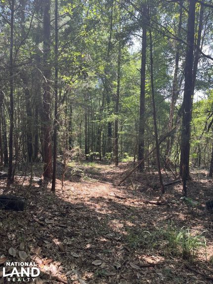 Farm and Ranch in Clarke County, Alabama