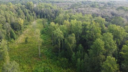 Land for sale in Covington County, Mississippi