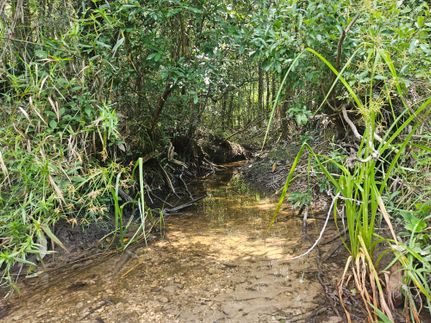 Recreational Property for sale in Pearl River County, Mississippi