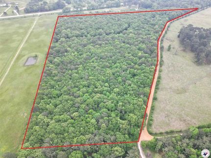 Undeveloped Land in Bowie County, Texas