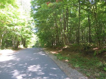 Timberland Property for sale in Saint Lawrence County, New York
