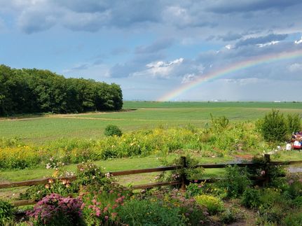 Land for sale in Mason County, Illinois