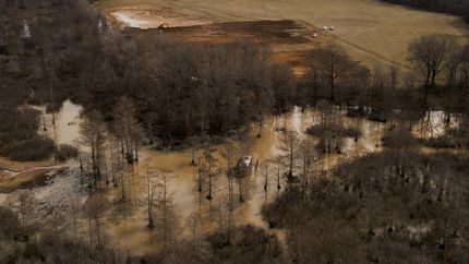 Land for sale in Gibson County, Tennessee