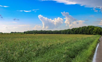 Land for sale in Fannin County, Texas