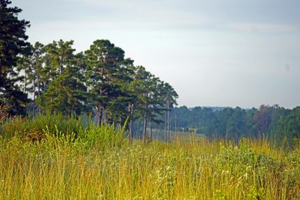 Land for sale in Leon County, Texas