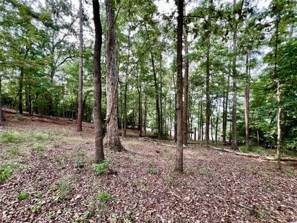 Undeveloped Land in Nacogdoches County, Texas