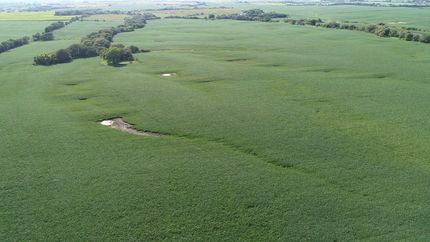 Land for sale in Taylor County, Iowa