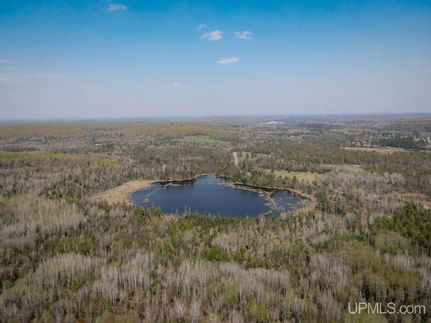 Undeveloped Land for sale in Iron County, Michigan
