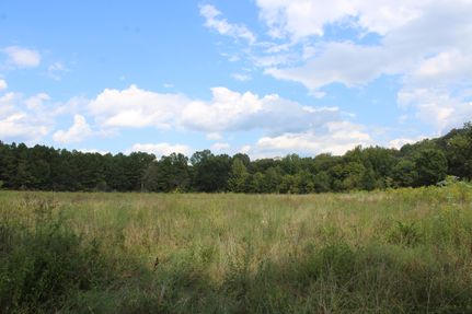 Timberland Property for sale in Benton County, Mississippi