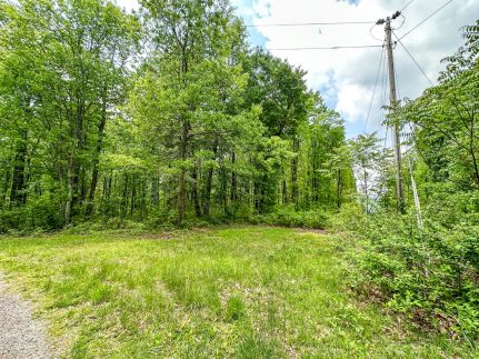 Timberland Property for sale in Fentress County, Tennessee
