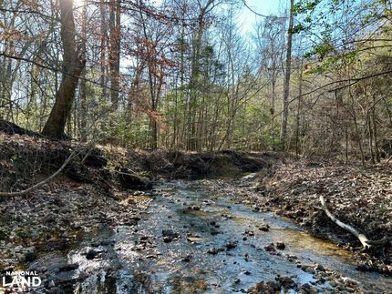 Land for sale in Choctaw County, Alabama