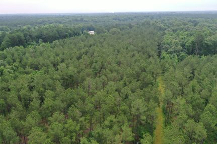 Undeveloped Land for sale in Harrison County, Texas