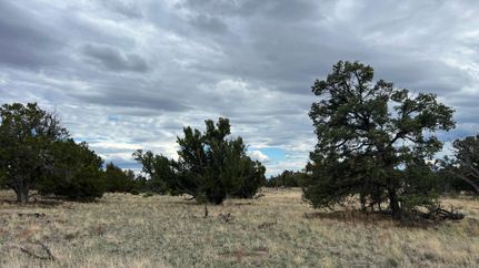 Land for sale in Catron County, New Mexico