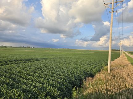 Land for sale in Ogle County, Illinois