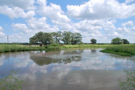 Undeveloped Land for sale in Lavaca County, Texas