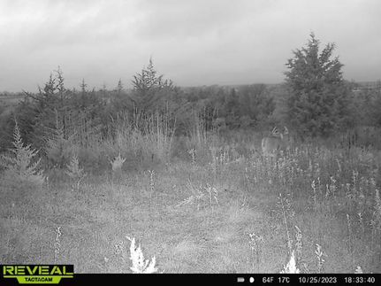 Farm and Ranch in Decatur County, Iowa