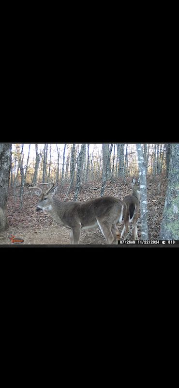 Hunting Property in Van Buren County, Arkansas
