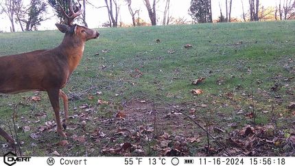 Timberland Property in Spencer County, Indiana