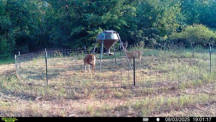 Timberland Property in Pottawatomie County, Oklahoma