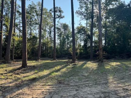 Land for sale in Vernon Parish, Louisiana