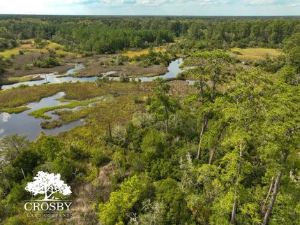 Riverfront Property in Jasper County, South Carolina