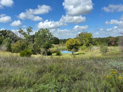 Undeveloped Land for sale in Wise County, Texas