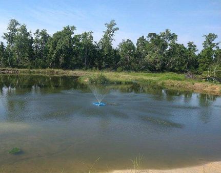 Land for sale in Baldwin County, Alabama