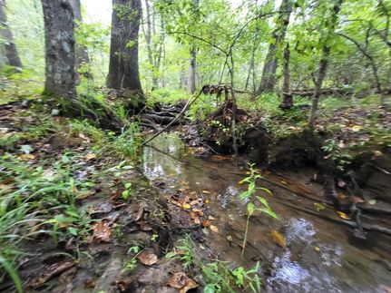 Land for sale in Cumberland County, Tennessee