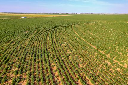 Land for sale in Lubbock County, Texas