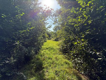 Land for sale in Price County, Wisconsin