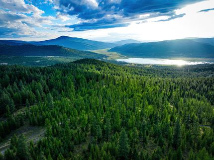 Undeveloped Land for sale in Flathead County, Montana