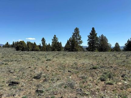 Undeveloped Land for sale in Klamath County, Oregon