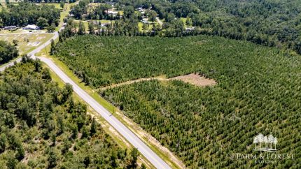 Land for sale in Holmes County, Florida