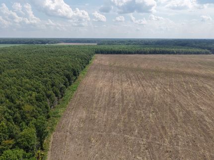 Land for sale in Sharkey County, Mississippi