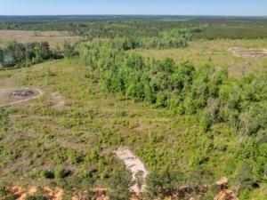 Undeveloped Land for sale in Laurens County, Georgia