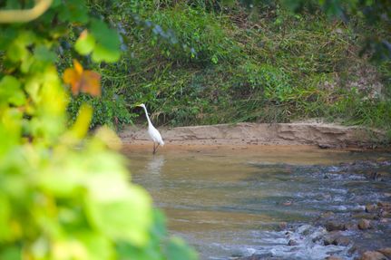 Recreational Property for sale in Hardeman County, Tennessee