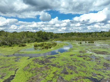 Land for sale in Hardeman County, Tennessee