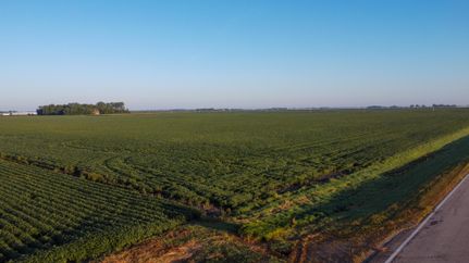 Land for sale in Faribault County, Minnesota