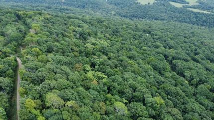 Land for sale in Washington County, Arkansas