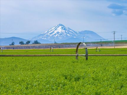 Farm and Ranch for sale in Siskiyou County, California