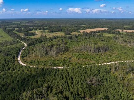 Land for sale in Madison County, Florida