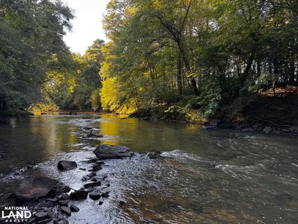 Undeveloped Land for sale in Pittsylvania County, Virginia